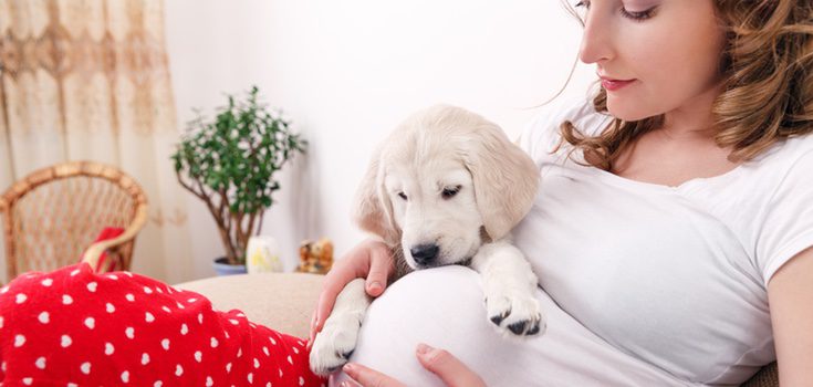 Existen causas médicas que nos instan a pensar que nuestra perra está embarazada