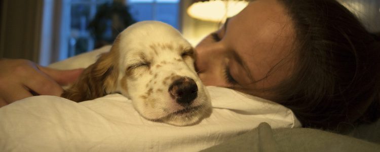 Dormir con tu perro puede tener ventajas y desventajas