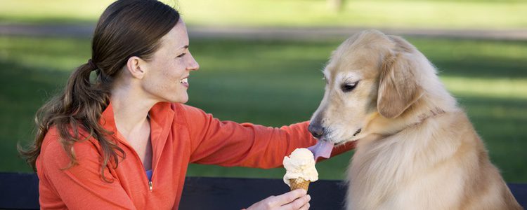 Lo ideal para elaborar nuestro helado casero para perros es utilizar ingredientes naturales
