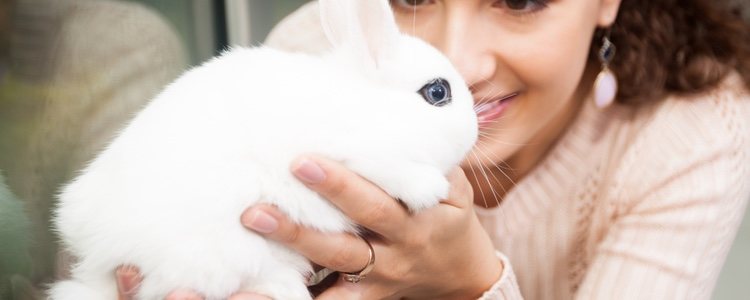 El conejo blanco de Hotot parece que lleve los ojos pintados