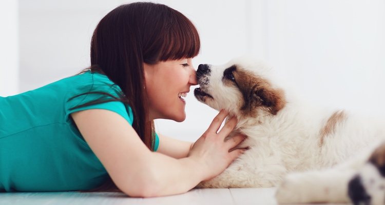 Utilizar los sentidos es fundamental para congeniar con tu perro