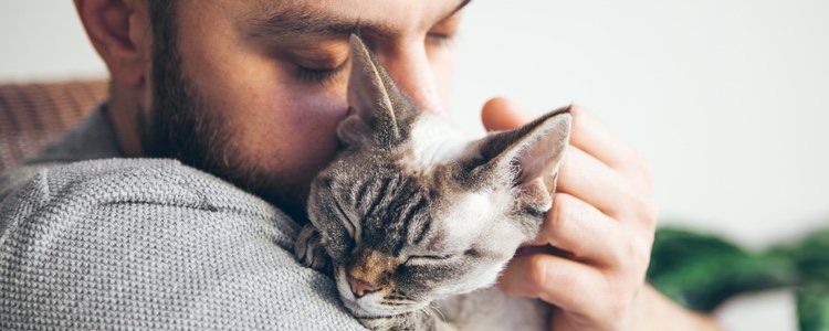 Los parásitos intestinales pueden debilitar a tu gato haciéndolo más susceptible