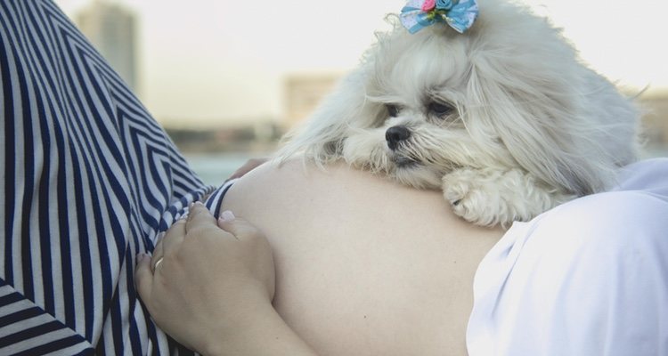 La embarazada podrá mantenerse en forma con el perro
