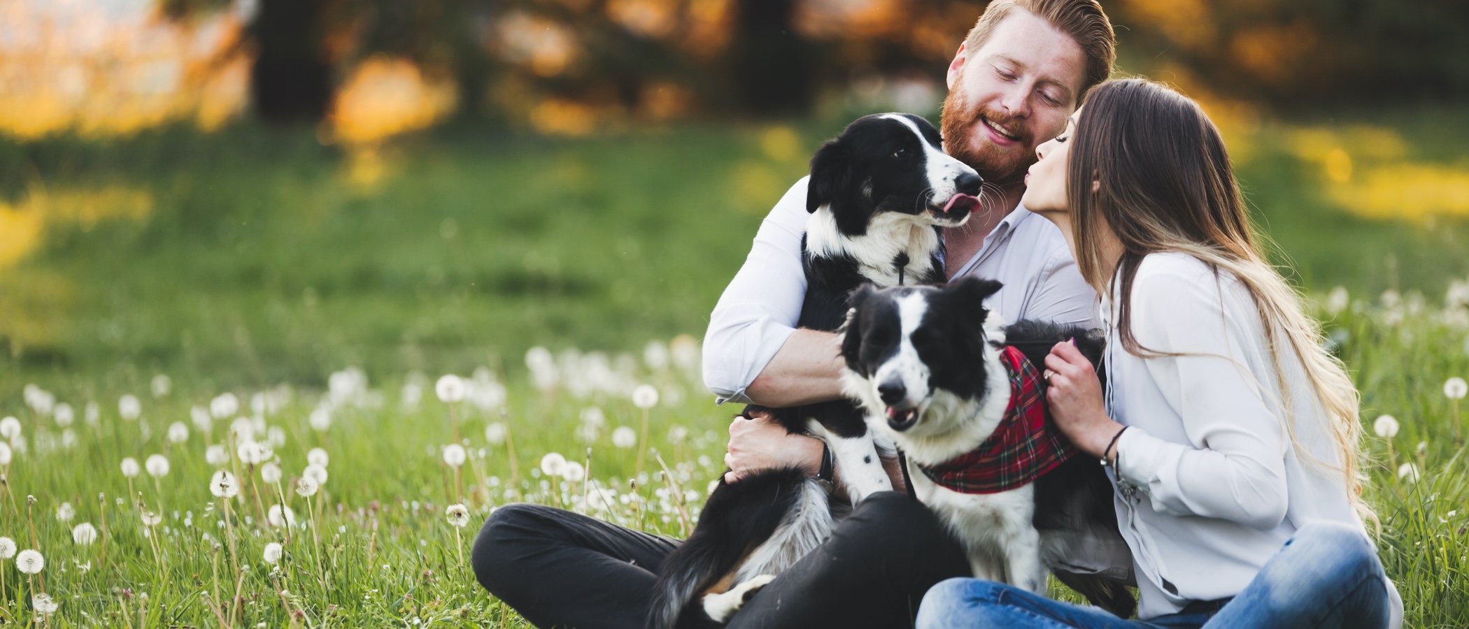 Perros y relaciones de pareja: cómo influyen y qué aportan