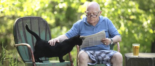 Mascotas adecuadas para personas mayores
