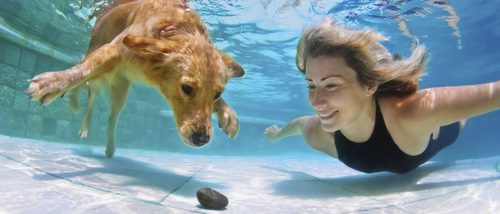 ¿Cómo puedo hacer que mi perro no se asuste con el agua?