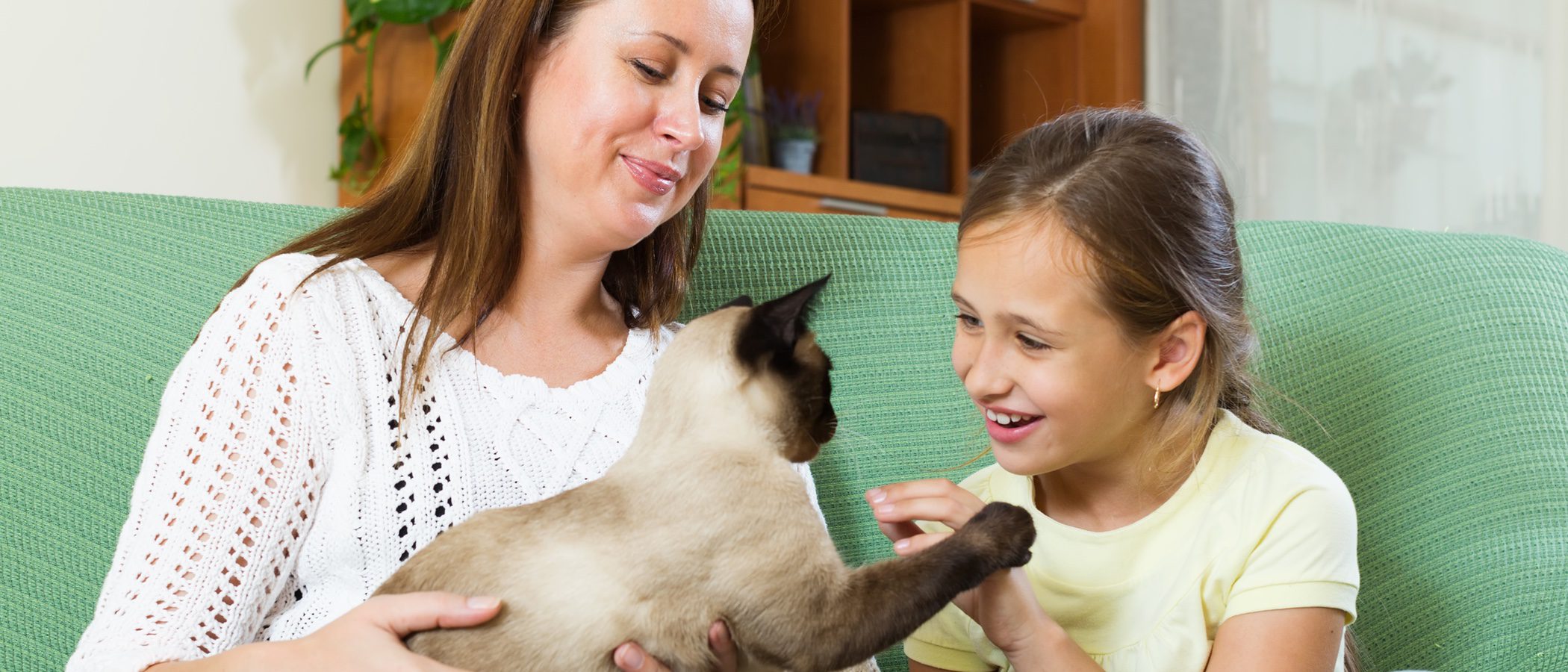 9 formas de jugar con tu gato en casa