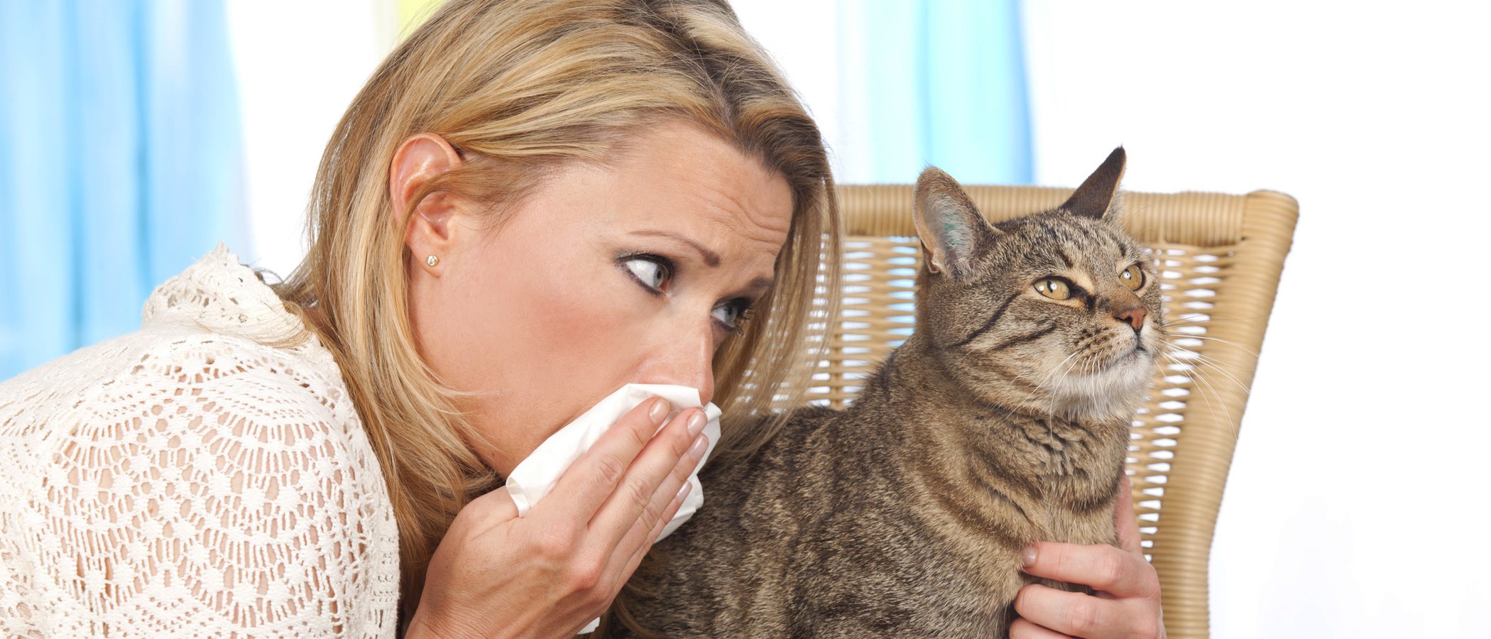 ¿Cómo convivo con mi gato si le tengo alergia?