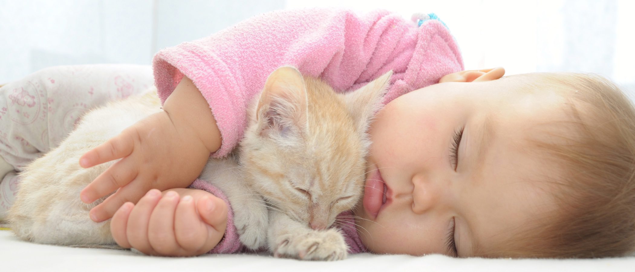 Gatos y bebés: ¿Es una buena combinación?