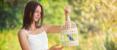Aprende a construir una jaula bonita para tu pájaro