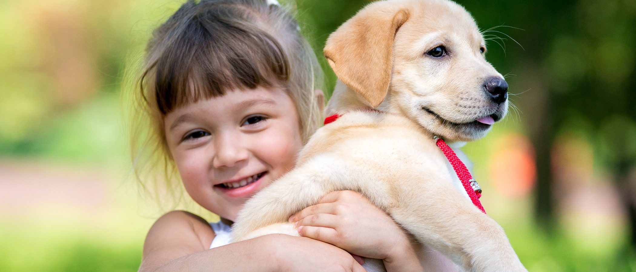 Las mejores mascotas para niños con asma