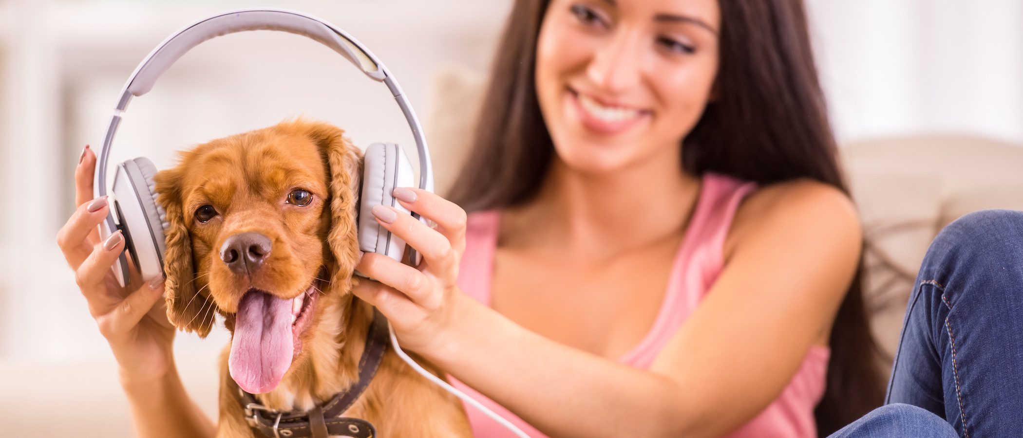 Musicoterapia para mascotas