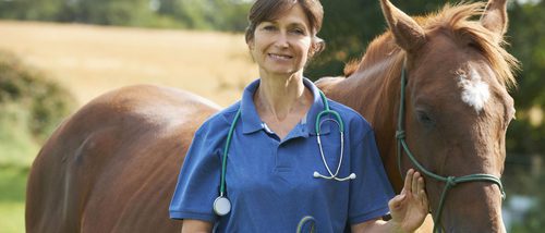 La equinoterapia: Los caballos pueden ser de gran ayuda