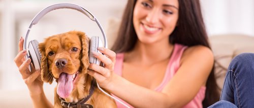 Los beneficios de la música para tu perro