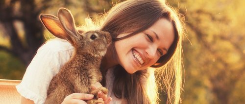 Razas de conejo: ¿cual te quedas como mascota?