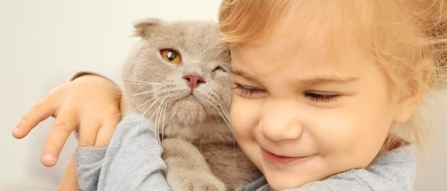 Las mejores razas de gatos para convivir con niños y niñas