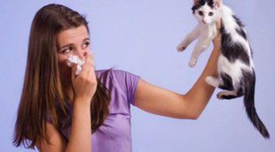 Evitar y minimizar los síntomas de la alergia a los gatos