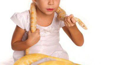 Los peligros de tener una serpiente como mascota