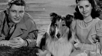 Lassie, la Collie más famosa del mundo con un pasado y tradición inglesa