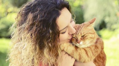 Las 10 razas de gato más cariñosas