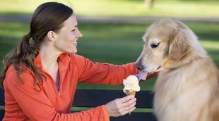 Receta de helado para perros