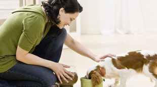 La dieta BARF para perro: ¿es aconsejable?