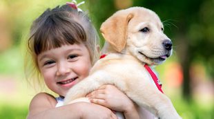 Las mejores mascotas para niños con asma