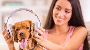 Los beneficios de la música para tu perro