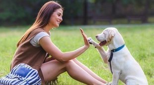 Adiestramiento positivo en perros: cómo llevarlo a cabo