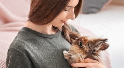 Rabia en conejos: cómo tratarla