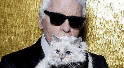 La historia de Choupette, la gata influencer y heredera de la fortuna de Karl Lagerfeld