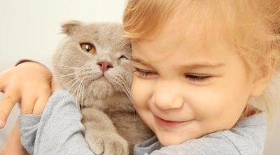 Las mejores razas de gatos para convivir con niños y niñas