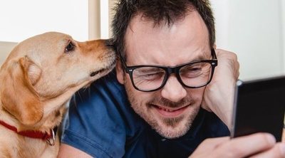 Finding Rover: Reconocimiento facial para encontrar perros perdidos