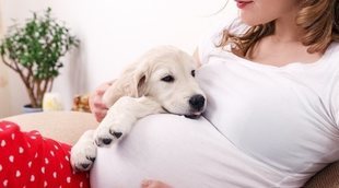 Tener un perro durante el embarazo: todas las ventajas que conlleva